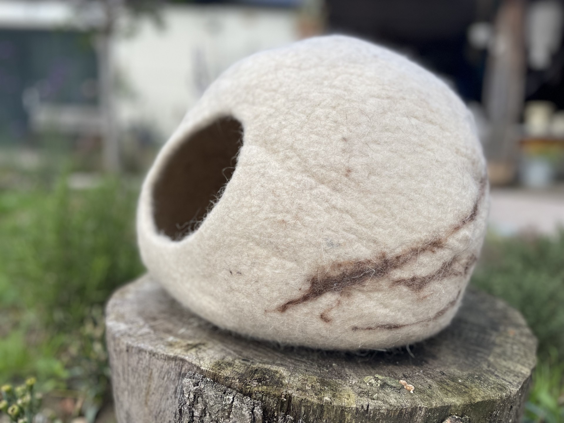 catcave