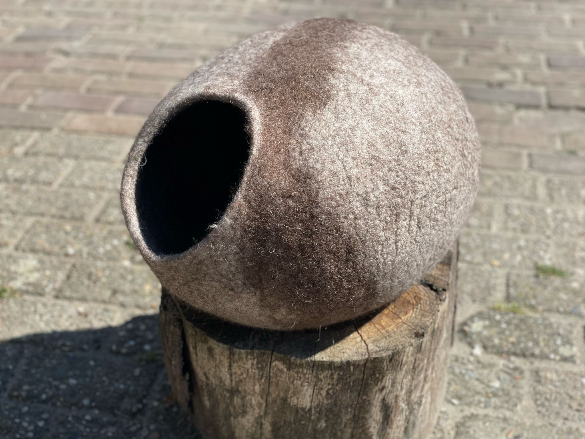 catcavw
